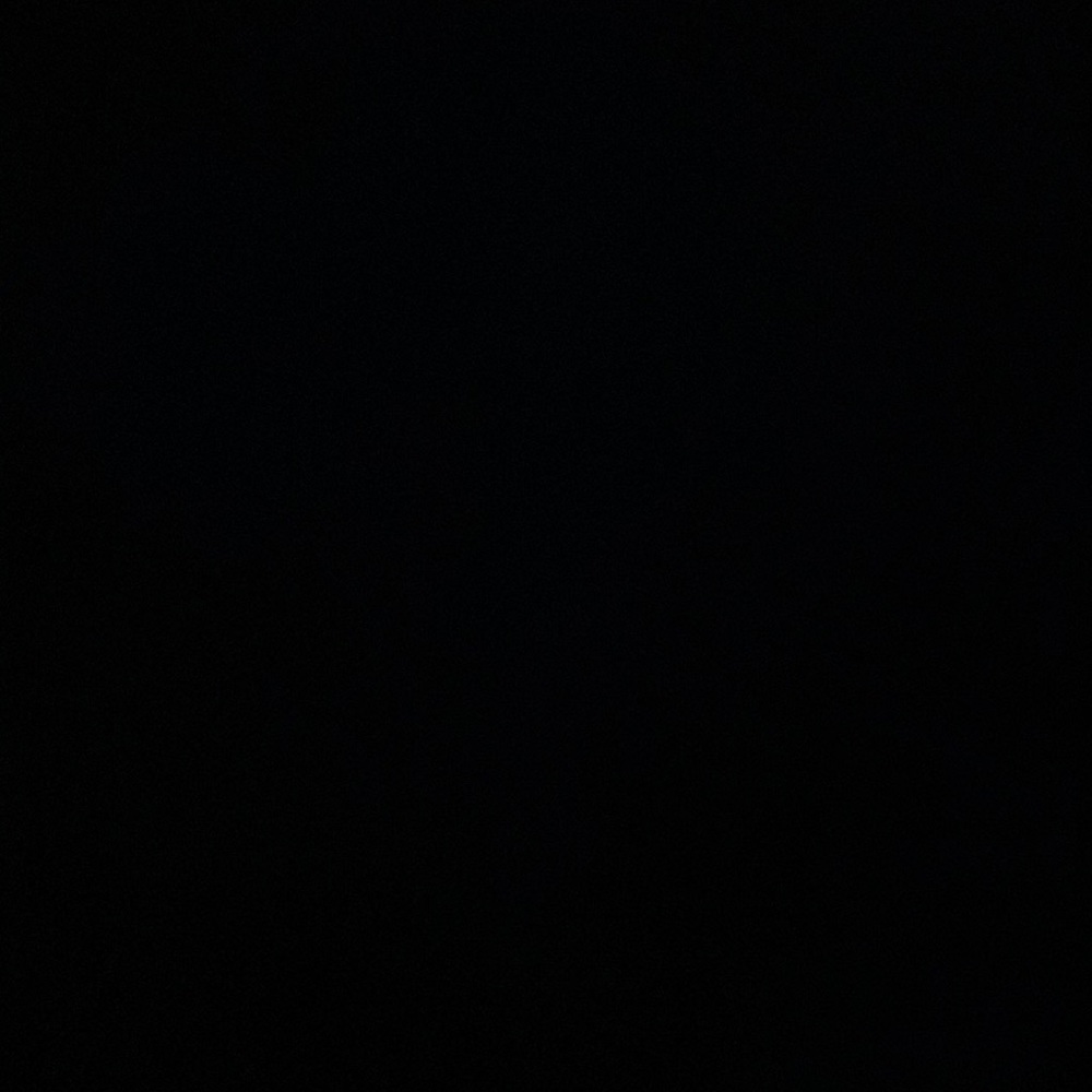IGNORE